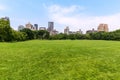 Central Park Sheep meadow Manhattan New York Royalty Free Stock Photo