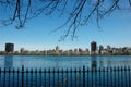 Central park sight branchs blue sky metal