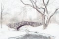 Central Park Snow covered Gapstow Bridge Royalty Free Stock Photo