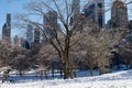 Central Park Snow Covered Winter Landscape with the Midtown Manhattan Skyline in New York City Royalty Free Stock Photo