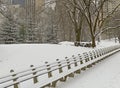 Central Park in snow, Manhattan, New York City Royalty Free Stock Photo