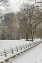 Central Park in snow, Manhattan, New York City Royalty Free Stock Photo