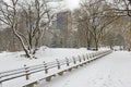 Central Park in snow, Manhattan, New York City Royalty Free Stock Photo