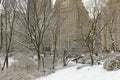 Central Park in snow, Manhattan, New York City Royalty Free Stock Photo