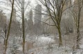 Central Park in snow, Manhattan, New York City Royalty Free Stock Photo