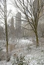 Central Park in snow, Manhattan, New York City Royalty Free Stock Photo