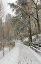 Central Park in snow, Manhattan, New York City Royalty Free Stock Photo