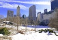 Central Park in the snow, New York Royalty Free Stock Photo