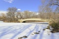 Central Park in the snow, New York Royalty Free Stock Photo