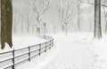 Central Park in the snow after snowstorm, New York City Royalty Free Stock Photo