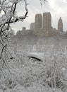 Central Park in the snow after snowstorm, New York City Royalty Free Stock Photo