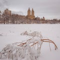 Central Park after the Snow Strom Linus Royalty Free Stock Photo