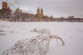 Central Park after the Snow Strom Linus Royalty Free Stock Photo