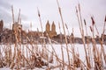 Central Park after the Snow Strom Linus Royalty Free Stock Photo