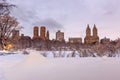 Central Park after the Snow Strom Linus Royalty Free Stock Photo