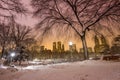 Central Park after the Snow Strom Linus Royalty Free Stock Photo