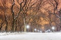 Central Park after the Snow Strom Linus Royalty Free Stock Photo