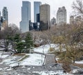 Central Park after snow