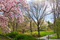 Central Park Spring Landscape NYC Royalty Free Stock Photo