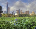 Central Park summer