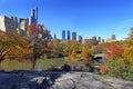 Central park at sunny day, New York City.