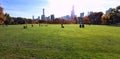 Central park at sunny day, New York City.