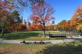 Central park at sunny day, New York City.