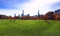 Central park at sunny day, New York City.