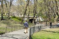 The Central Park in sunny day in New York,USA