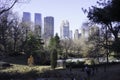 Central park view of New York Skyline in Fall Royalty Free Stock Photo