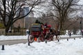 New York, New York, United States - February 14, 2021: Carriage ride in Central Park. Winter in Manhattan.