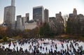 Central Park in the winter, New York City. USA. Royalty Free Stock Photo