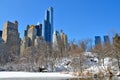 Central Park in the winter, NYC Royalty Free Stock Photo