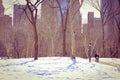 Central Park at winter time special moments on beautiful season