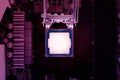 Central processing unit CPU computer server motherboard socket computer components isolated on background Royalty Free Stock Photo