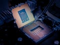 Central processing unit CPU computer server motherboard socket computer components isolated on background close Royalty Free Stock Photo