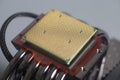 Central processing unit CPU microchip on Computer fan cooler Royalty Free Stock Photo