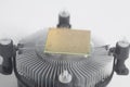 Central processing unit CPU microchip on Computer fan processor Royalty Free Stock Photo