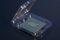 Central processing unit CPU processor microchip in the packaging box Royalty Free Stock Photo