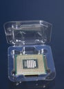 Central processing unit CPU processor microchip in the packaging box Royalty Free Stock Photo