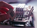 Central processing unit CPU server computer before installing motherboard socket computer components