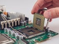 Central processing unit CPU server computer before installing motherboard socket computer components
