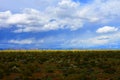 Central Sonora Desert Arizona