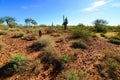 Central Sonora Desert Arizona