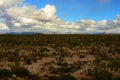 Central Sonora Desert Arizona