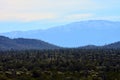 Central Sonora Desert Arizona