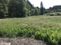 Central Washington landscape in spring