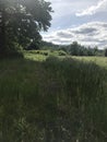 Central Washington landscape in spring