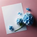 A central white space amidst a spray of blue hydrangeas. floral background, Mockup, colorful background Royalty Free Stock Photo