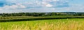 Central Wisconsin farmland in summer Royalty Free Stock Photo